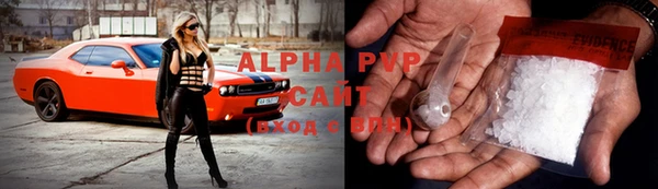 прущие грибы Магас