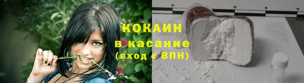 прущие грибы Бугульма