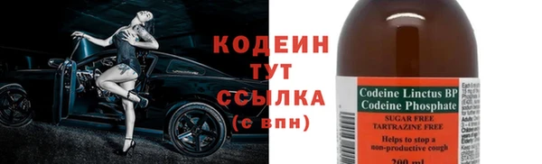 прущие грибы Бугульма